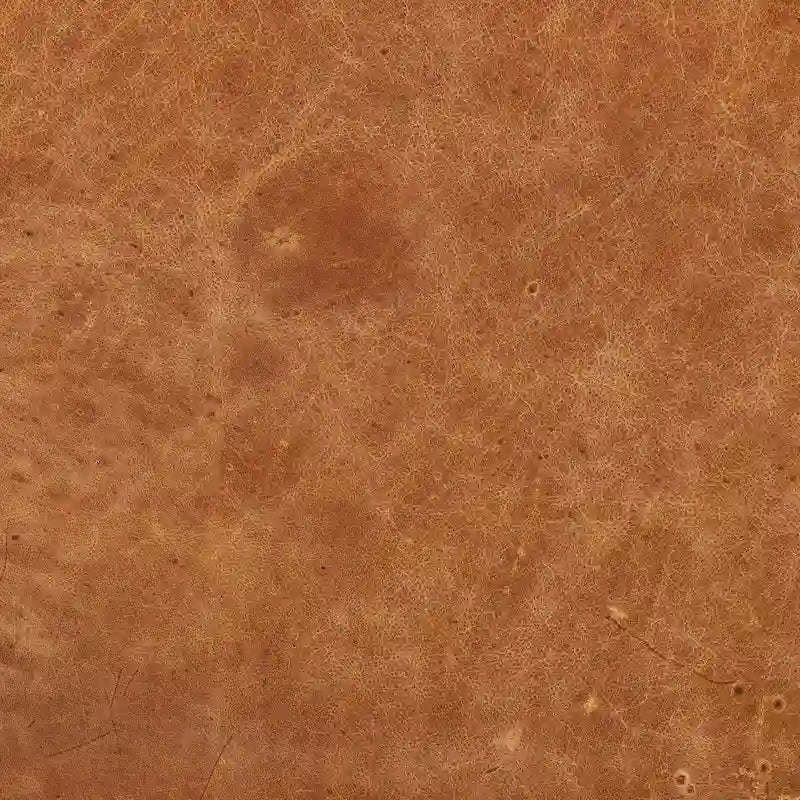 Fauteuil de salon en cuir pleine fleur avec pieds en noyer